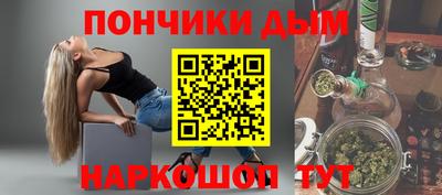 СК Дубна