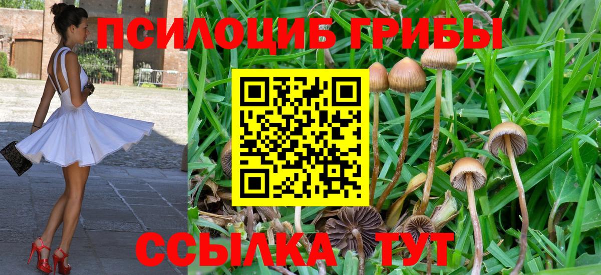 Галлюциногенные грибы Psilocybine cubensis  Вход с VPN  Мелеуз 